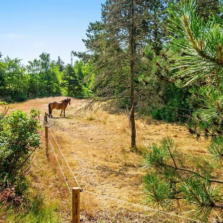 Luxury Retreat On Romo - By Traum Vesterhede