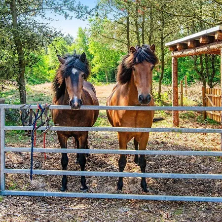 Semesterbostad Luxury Retreat On Romo - By Traum